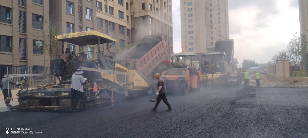 郑州校园旁的“安全地毯”：让孩子的脚步比阳光更轻快